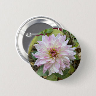 Badge Rond 5 Cm Dahlia à bout rose clair