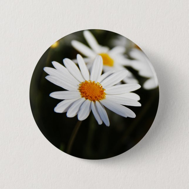 Badge Rond 5 Cm Daisy (Devant)