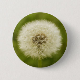 Badge Rond 5 Cm Dandy Lion