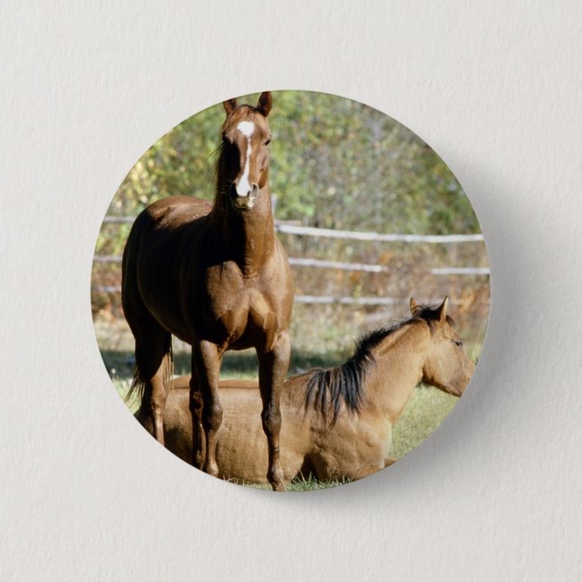 Badge Rond 5 Cm Deux chevaux au pâturage (Devant)