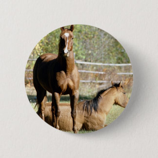 Badge Rond 5 Cm Deux chevaux au pâturage