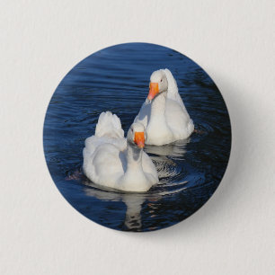 Badge Rond 5 Cm Deux oies d'Emden II