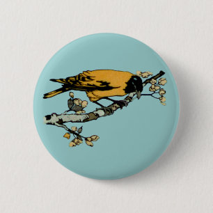 Badge Rond 5 Cm Développement de l'illustration d'oiseaux Vintages
