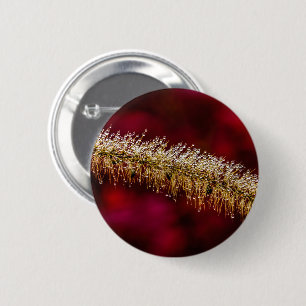Badge Rond 5 Cm Dew du matin