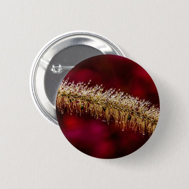 Badge Rond 5 Cm Dew du matin (Devant & derrière)