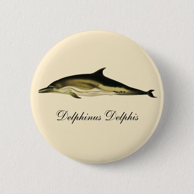Badge Rond 5 Cm Dolphin Delphinus Delphis, Mammifères marins Vinta (Devant)
