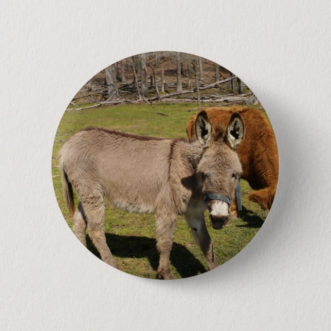 Badge Rond 5 Cm Donkey (Devant)