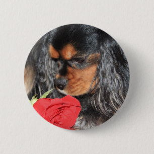 Badge Rond 5 Cm Douce Amour Cavalier King Charles Spaniel