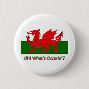 Badge Rond 5 Cm dragon de gallois