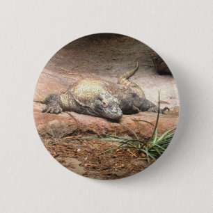 Badge Rond 5 Cm Dragon de Komodo