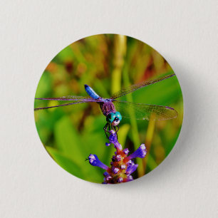 Badge Rond 5 Cm Dragonfly