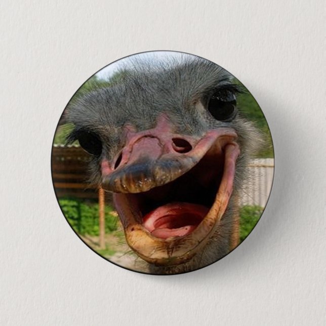 Badge Rond 5 Cm Drôle Ostrich Bird Photo What's Up (Devant)