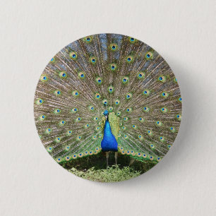 BADGE ROND 5 CM DSCF1062