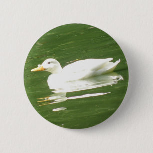 Badge Rond 5 Cm Duck on the water Button