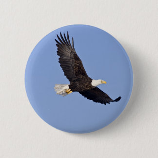 Badge Rond 5 Cm Eagle chauve américain