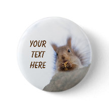 Écureuil à la noix