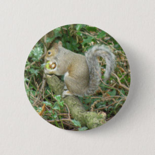 Badge Rond 5 Cm Écureuil avec bouton de gland
