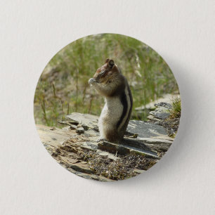 Badge Rond 5 Cm Écureuil de fond à manteau doré au glacier I