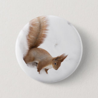 Badge Rond 5 Cm Écureuil d'hiver