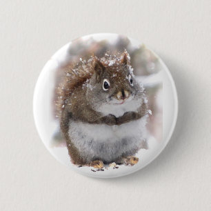 Badge Rond 5 Cm Écureuil doux