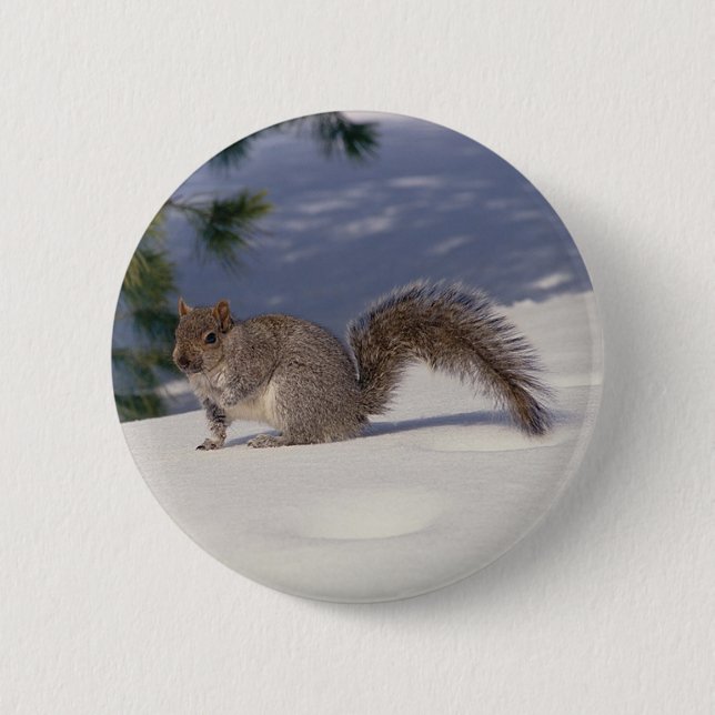 Badge Rond 5 Cm Écureuil en neige (Devant)