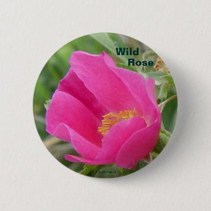 Badge Rond 5 Cm Églantine de l'Alberta F7