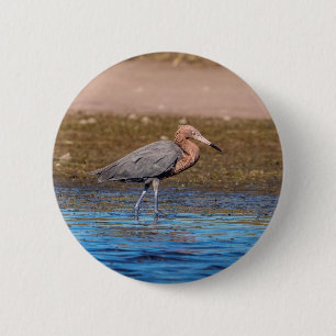 Badge Rond 5 Cm Egret rouge sur North Beach