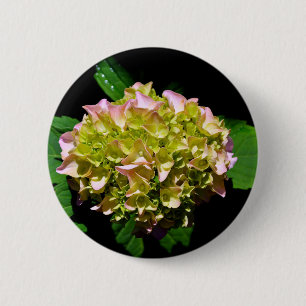Badge Rond 5 Cm Elégant vert doux vert rose vert vert hydrangée