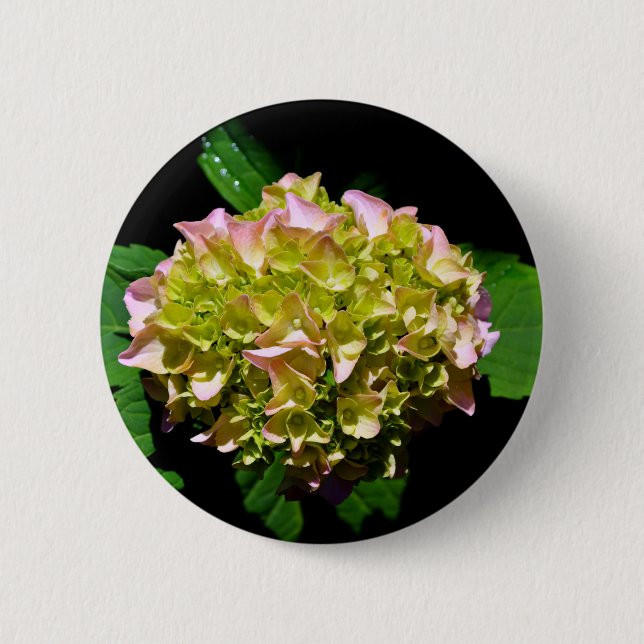 Badge Rond 5 Cm Elégant vert doux vert rose vert vert hydrangée (Devant)