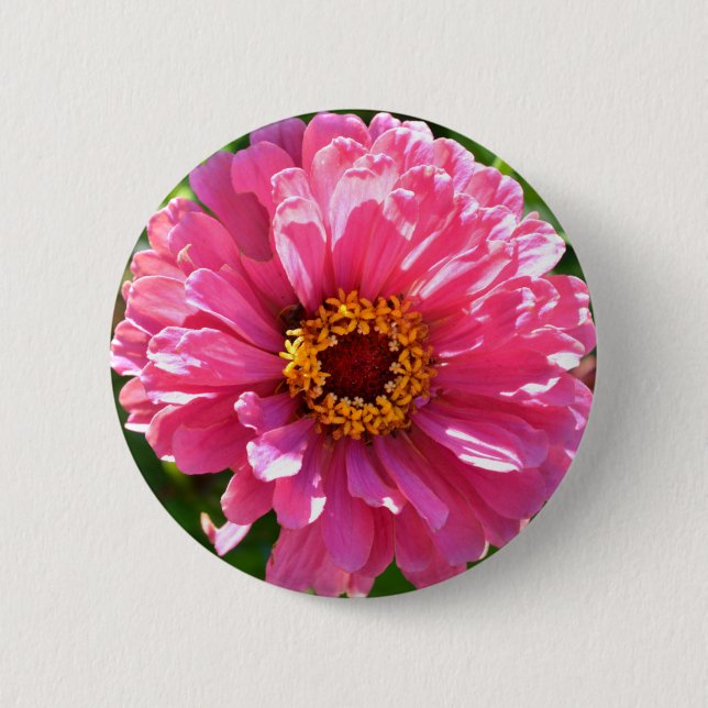 Badge Rond 5 Cm Elégante marguerite rose rose rétro (Devant)