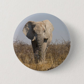 Badge Rond 5 Cm Eléphant