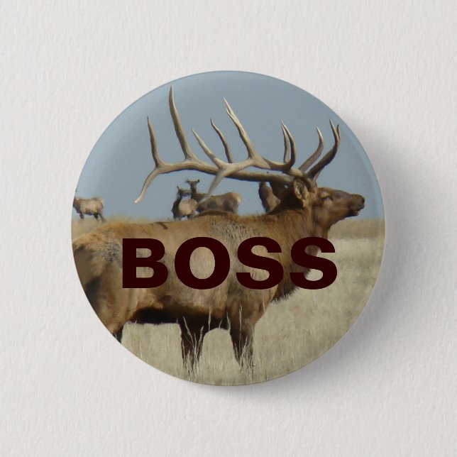 Badge Rond 5 Cm Elk taureau E4 (Devant)