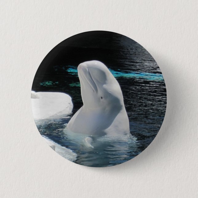 Badge Rond 5 Cm Épinette de béluga (Devant)