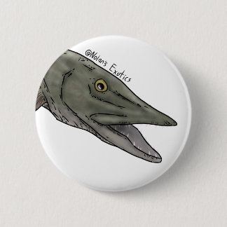 Badge Rond 5 Cm Épingle musquée