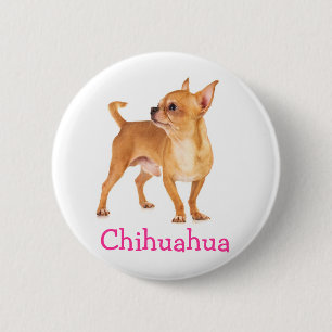 Badge Rond 5 Cm Épinglette à bouton Chihuahua mignon