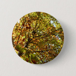 Badge Rond 5 Cm Érable changeant de couleur en vert et or à l'auto