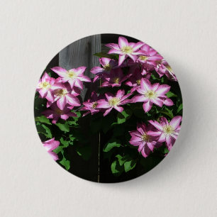 Badge Rond 5 Cm Escalade Clematis Fleurs de printemps violettes