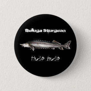 Badge Rond 5 Cm Esturgeon de beluga