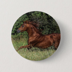 Badge Rond 5 Cm Étalon arabe fonctionnant dans l'herbe