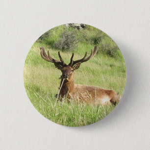 Badge Rond 5 Cm Étiquettes de la Nouvelle-Zélande