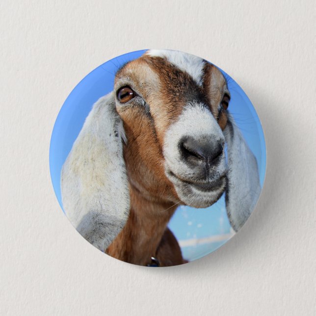 Badge Rond 5 Cm Étoile 1.jpg de chèvre (Devant)