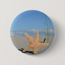 Étoiles de mer sur la plage
