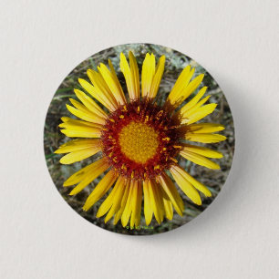 Badge Rond 5 Cm F1 Gaillardia fleur sauvage jaune