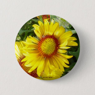 Badge Rond 5 Cm F6 Fleur sauvage jaune Gaillardia