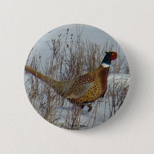 Badge Rond 5 Cm Faisan B23 Anneau-étranglé.