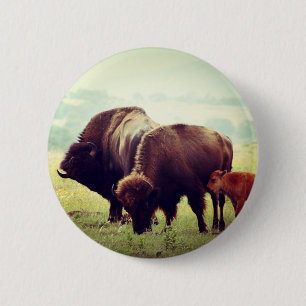 Badge Rond 5 Cm Famille de Buffalo Américain (Bison)