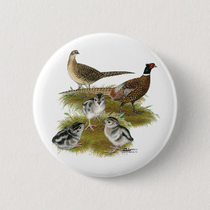 Badge Rond 5 Cm Famille Pheasant Ringneck