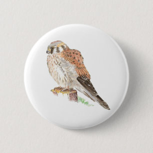 Badge Rond 5 Cm Faucon de moineau de crécerelle, oiseau