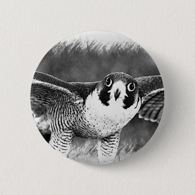 Badge Rond 5 Cm Faucon pérégrin (Devant)