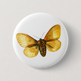 Badge Rond 5 Cm femelle de Bombyx quercus